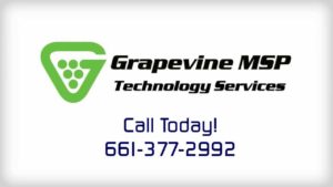 Grapevine MSP